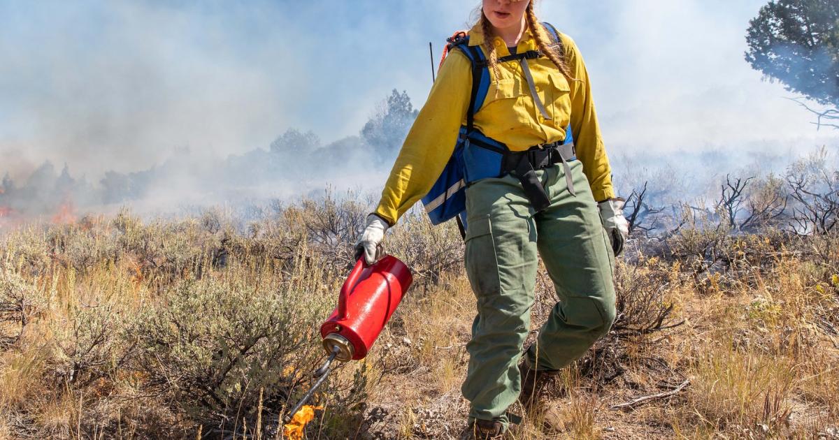 BLM High Desert District plans to conduct prescribed burns Bureau of